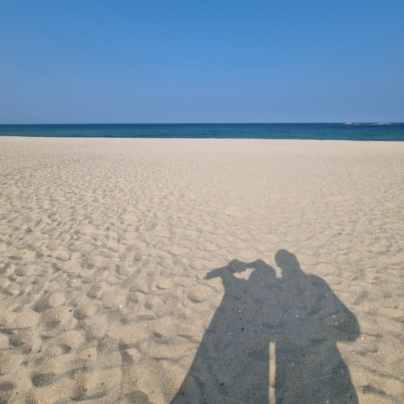 갑상선암과 자궁내막증 자연치유를 위한 첫걸음: 우유와 유제품 끊기