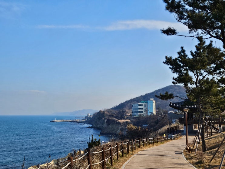  포항 걷기 좋은 곳 연오랑세오녀테마공원 후기 - 귀비고 전시, 호미반도둘레길 산책로, 카페 정보