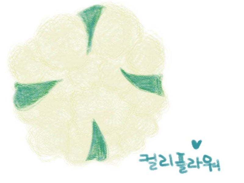 컬리플라워 효능과 부작용 그리고 섭취방법 총정리