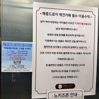 사진 5