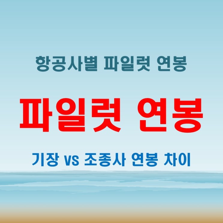  파일럿 연봉, 기장과 조종사(부기장)의 급여 차이부터 최고의 항공사까지