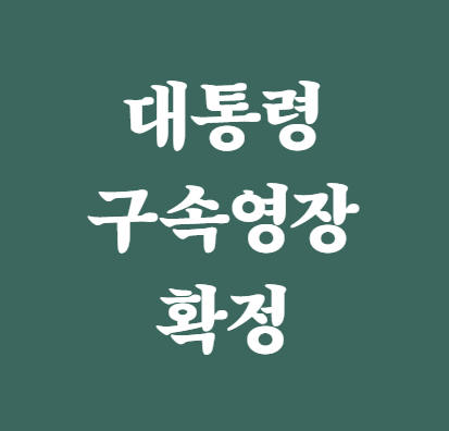 <b>윤석열</b> 대통령 <b>구속영장</b> 확정, 수사 절차와 향후 있을 <b>가능성</b>... 