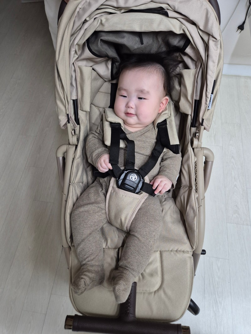 휴대용 유모차 추천 타보 플렉스탭 3 사용 후기