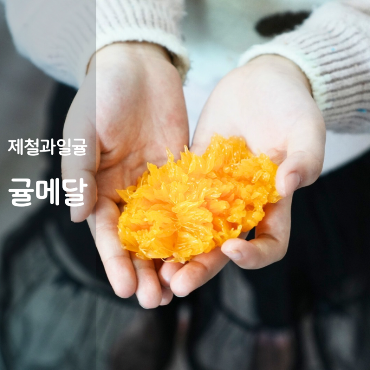  귤메달 제주 윈터프린스 맛 한라봉 레드향 제철