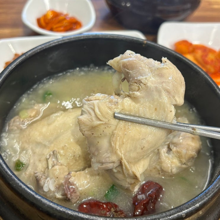  고속터미널역 맛집 삼계탕마을 내돈내산 후기(몸보신하기)