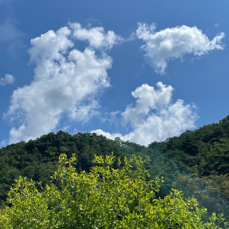 사진 5
