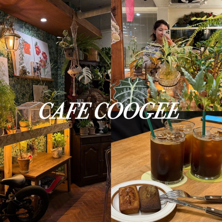  부산 명지 카페 쿠지 따뜻한 플랜테리어 분위기와 휘낭시에 맛집
