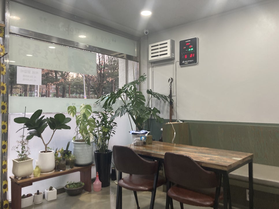 꼬꼬야 사진 3