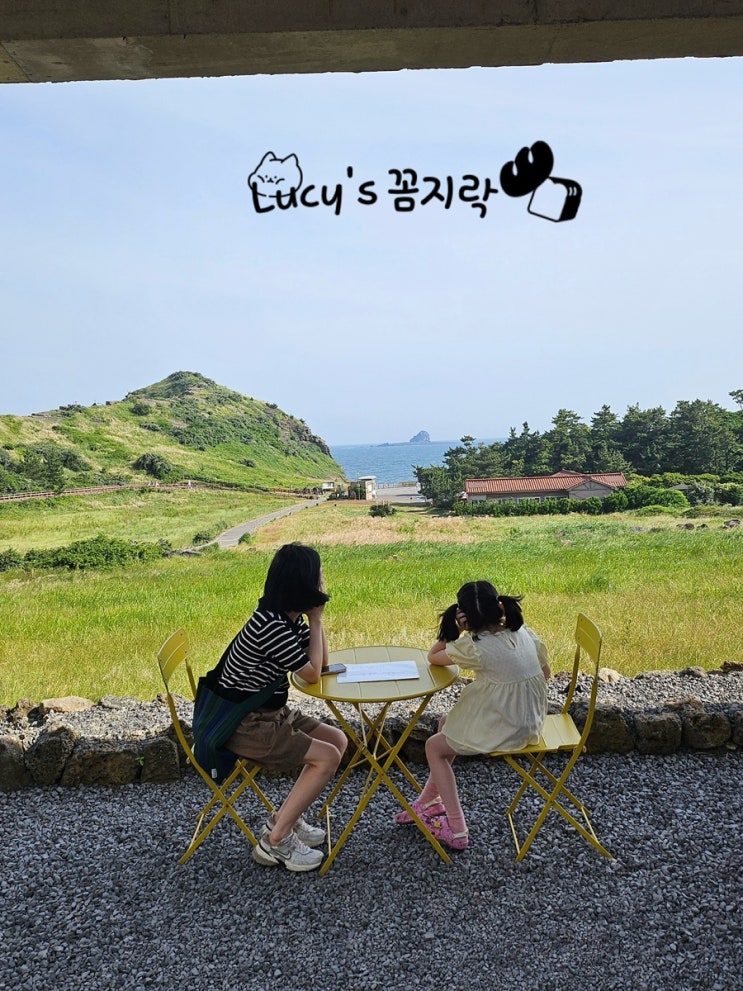  제주도 • 제주투어패스로 소색채본 , 서귀포잠수함