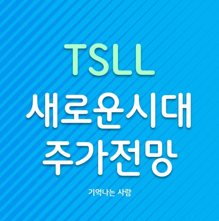  TSLL ETF 주가 및 배당금 전망