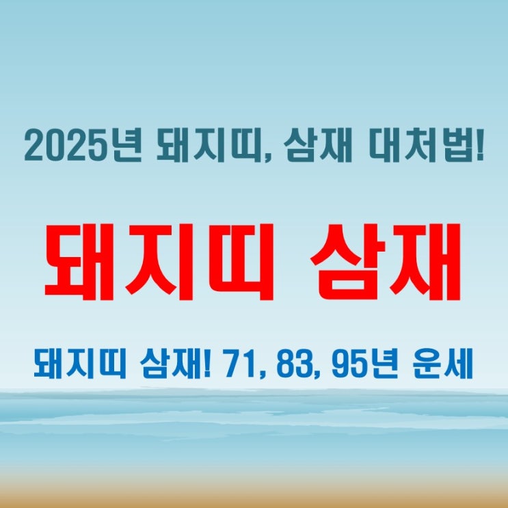  돼지띠 삼재 맞이하는 2025년! 71년, 83년, 95년 돼지띠의 운세와 대처법