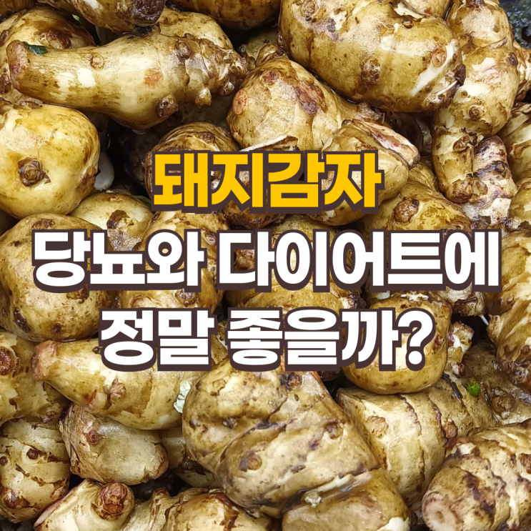  돼지감자, 당뇨와 다이어트에 정말 좋을까? 효능과 부작용