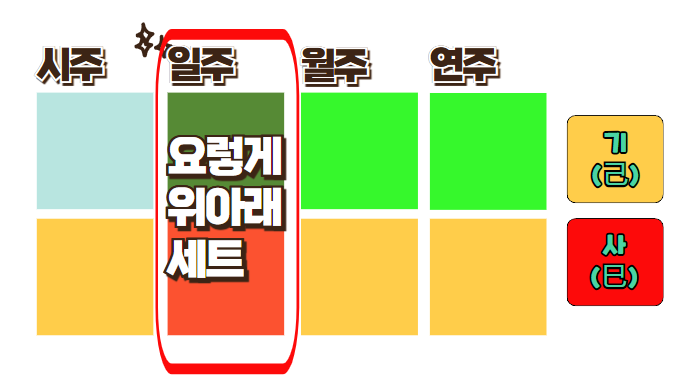  기사일주, 2025년 을사년은?