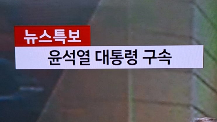  '<b>내란</b>수괴 혐의' <b>윤 대통령</b> 구속...<b>대통령</b> 측 반발