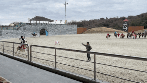  제주도 말공연 말쇼 더마파크 공연시 승마 요금