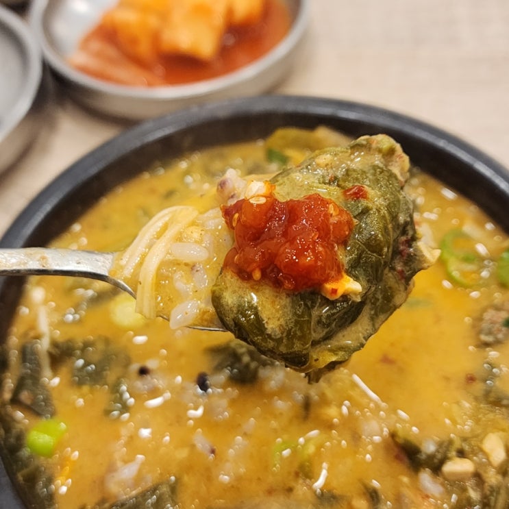  담양 월정어탕 내돈내산 솔직한 후기