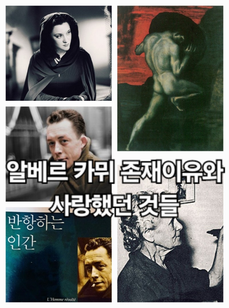 책읽는 삐약쌤🐤 (@jiwoniii_book) • Instagram photos and videos, image size:800x1073