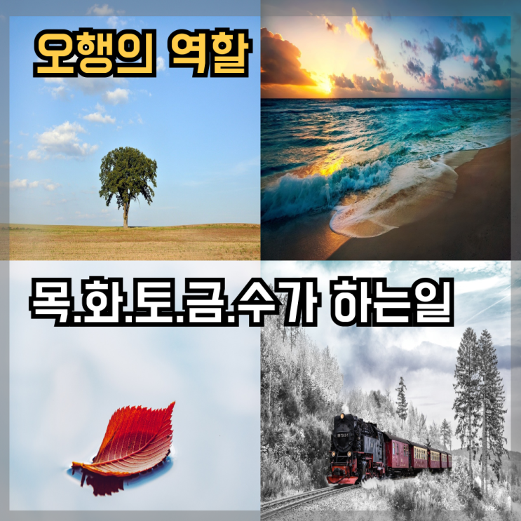  오행 목화토금수가 하는 일