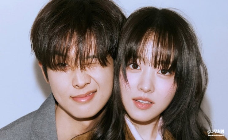 예고편부터 대박 난 넷플릭스 <b>멜로무비</b>, <b>최우식 박보영</b> 드라마... 