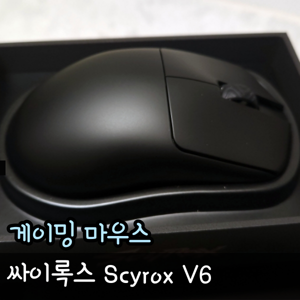  초경량 싸이록스 Scyrox V6 무선 마우스 리뷰