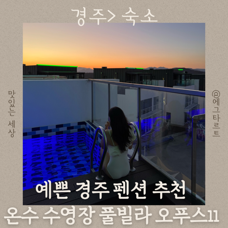 경주 수영장펜션 오푸스11 대형 온수 수영장 있는 대가족 풀빌라