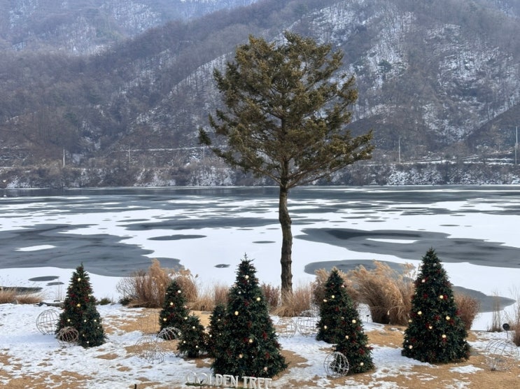  경기도 가평 가볼만한곳 카페 골든트리 먹거리 닭갈비 서울근교 드라이브 당일치기 여행