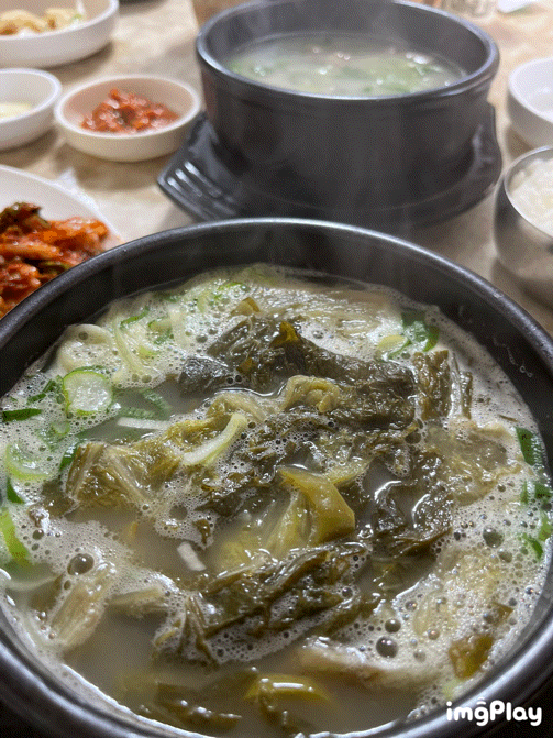  대전 선화동맛집 소머리 해장국 맛집 리뷰: 실비김치와 환상의 조합!