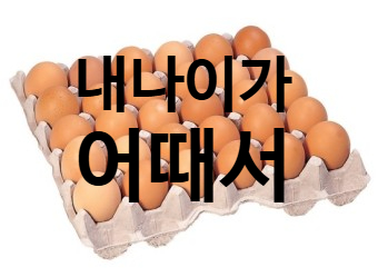  문답_25년 갱수기 문답 시리즈 1탄 (양식 첨부)
