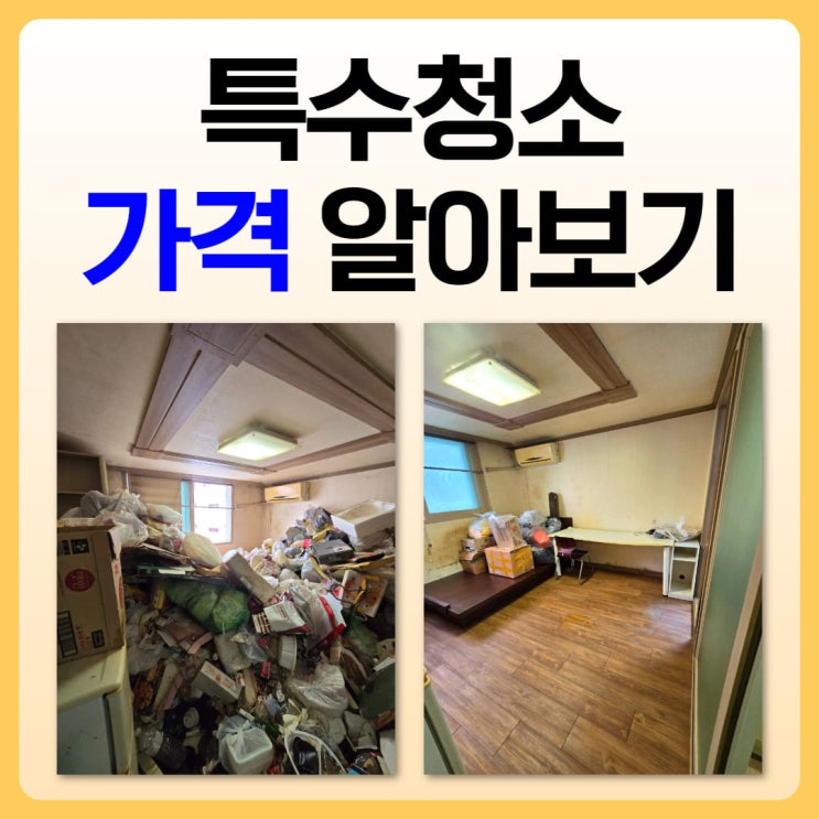 특수청소 업체 가격은 얼마인가요?