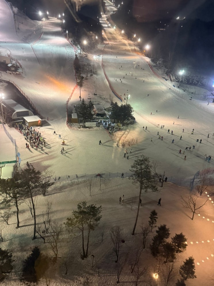  [휘닉스평창호텔] 평창 휘닉스호텔 슈페리어 더블룸 아베토 재즈 라이브 공연 아베토 페어링 마켓 후기