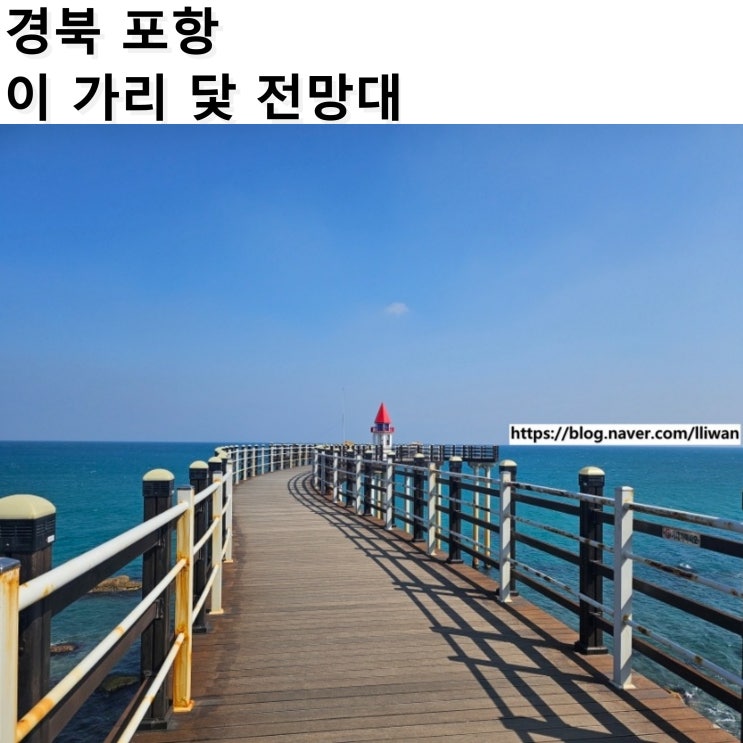  [경북/포항] 포항 가볼 만한 곳 추천 동굴 포토존 꿀팁, 이 가리 닻 전망대