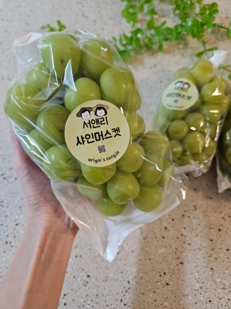  [서앤리 샤인머스켓] 간편하게 주문해서 맛있게 즐기는 샤인머스켓배송