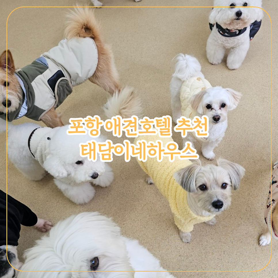 태담이네하우스