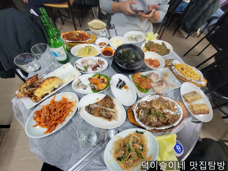 경남 사천 실비 맛집 삼천포 비엔나 아지트 실비 솔직후기 경남 사천 실비 맛집 삼천포 비엔나 아지트 실비 솔직후기