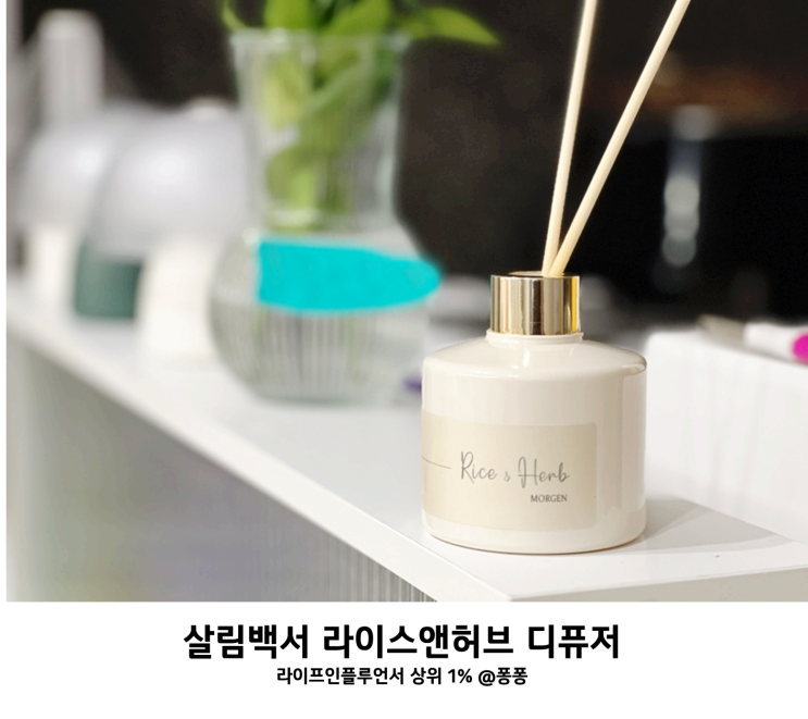  명절선물 거실 화장실 인테리어 실내 디퓨저 추천 살림백서 라이스앤허브 디퓨져 사용법