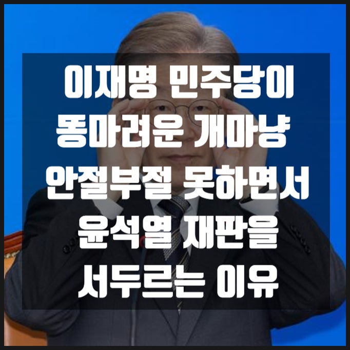 이재명과 민주당이 윤석열 재판을 마치 똥마려운 개마냥 안절부절 못하면서 서두르는 이유 이재명과 민주당이 윤석열 재판을 마치 똥마려운 개마냥 안절부절 못하면서 서두르는 이유