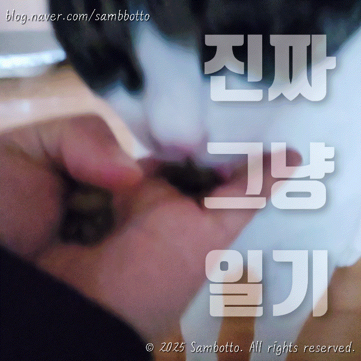  진짜 그냥 일기 | 오랜만에 보온도시락, 퇴근하고 도시락준비(두부조림, 무조림), 스타벅스 라이트 핑크 자몽 피지오 시음, 대존맛