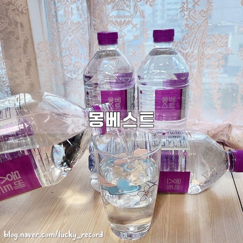 몽베스트 1L 미니생수 콤부차와 함께 겨울보습 수분충전 완료