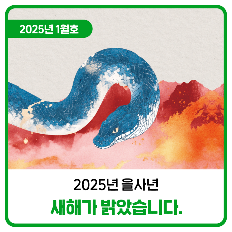  2025년 을사년 새해가 밝았습니다.