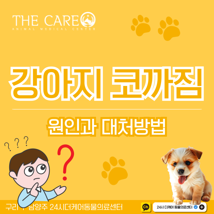  강아지 코 까짐 원인과 대처 방법
