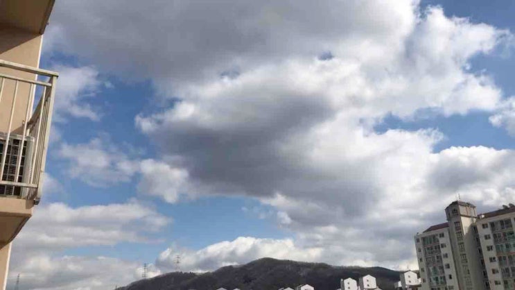 <b>고무 보트</b>타고 일본에 <b>밀입국</b> 시도 <b>중국인</b> 일가족 검거