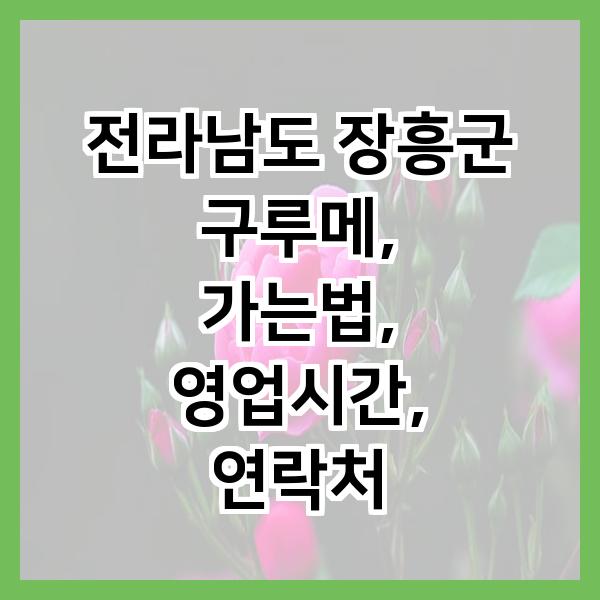 구루메 사진 1