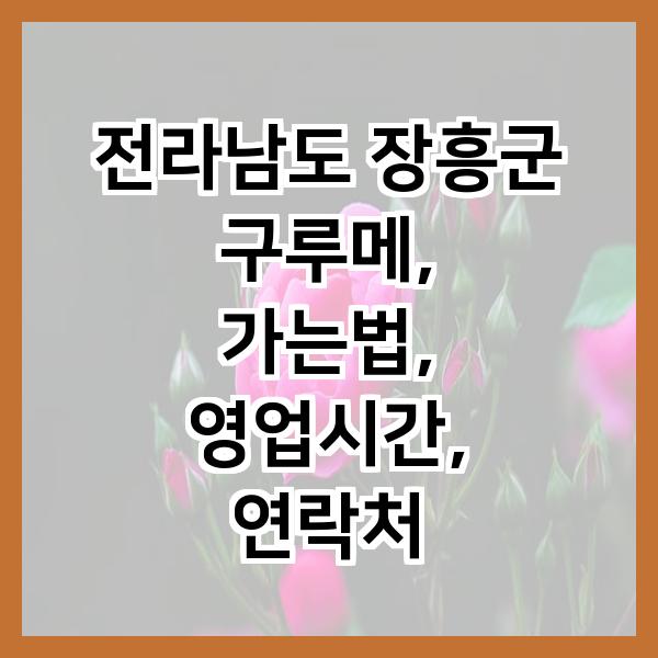 구루메 사진 2
