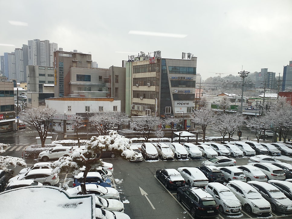 백가네생태한마리 사진 5