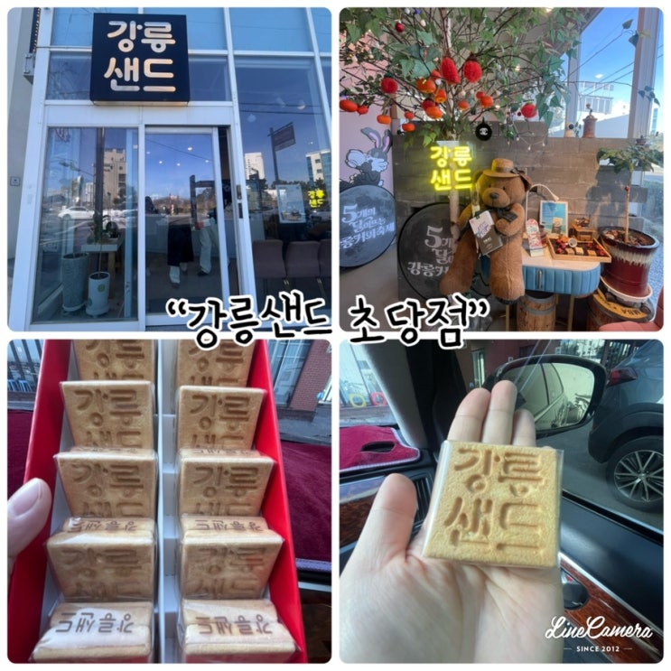  강릉 대표 먹거리 "강릉샌드 초당점" 강릉 디저트 맛집, 선물용 디저트