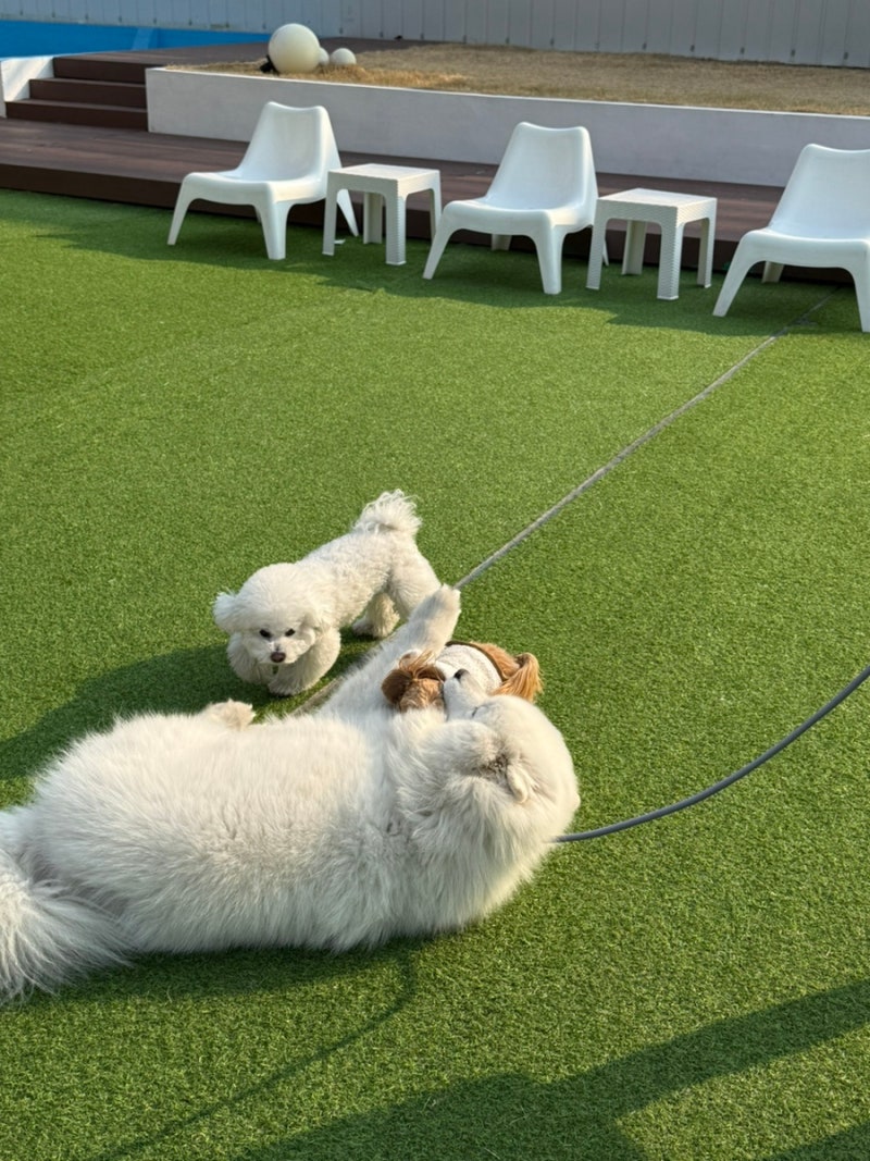 사진 7