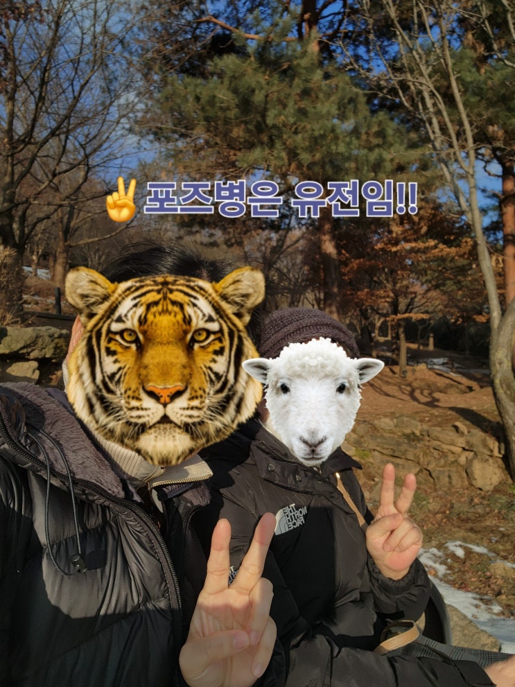  내돈내산 멋쟁이 먹토리얌의 새해 첫 먹방일기