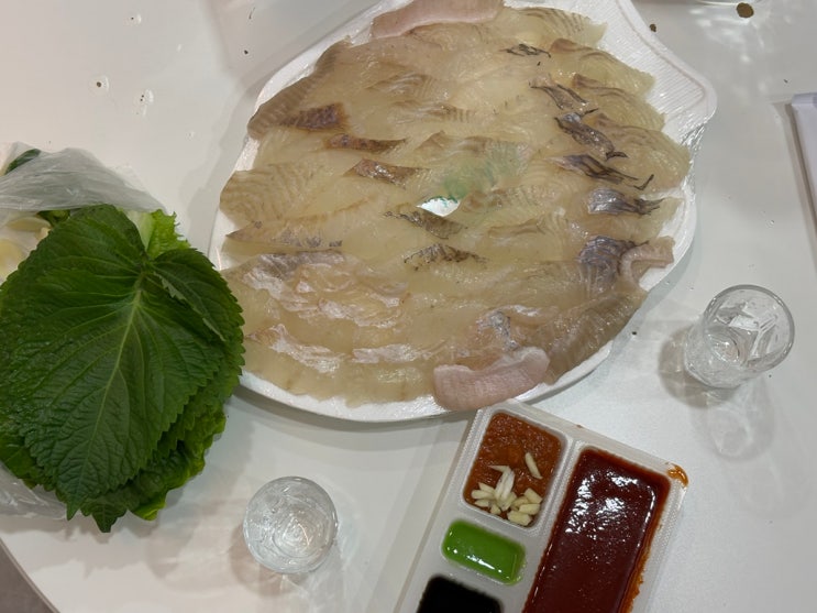  [가평] 청평역 광어+우럭 회포장 동해수산(내돈내산)