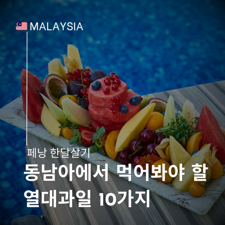  동남아 말레이시아에서 꼭 먹어봐야 할 열대과일 TOP 10