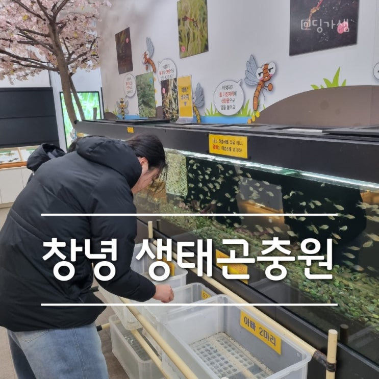  경남 창녕 아이들과 가볼 만한 곳 - 창녕생태곤충원